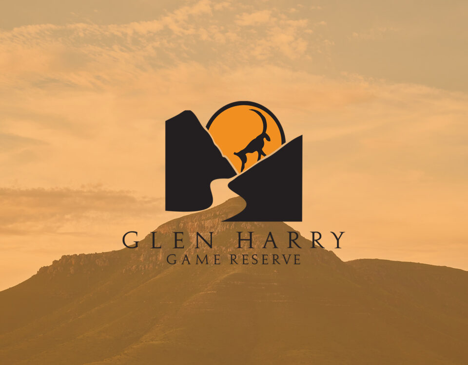 Graphic Design Services